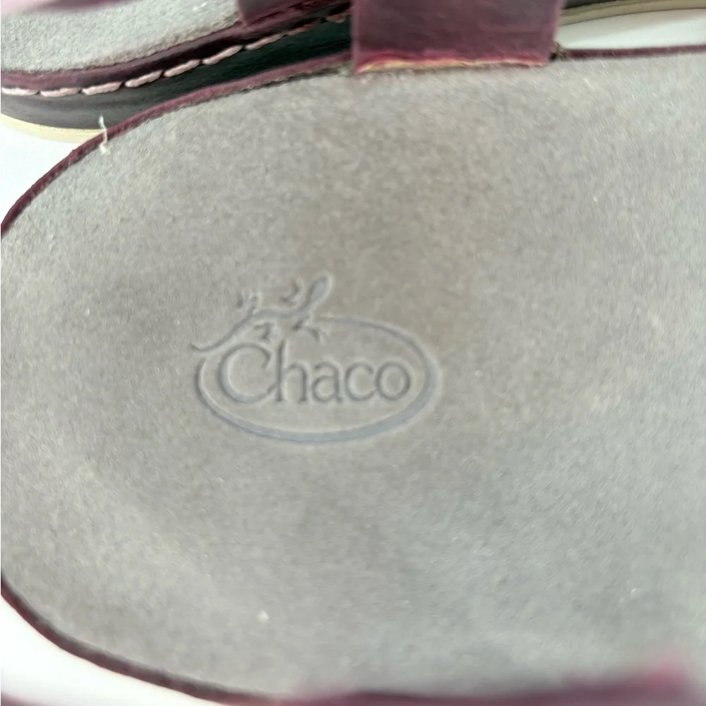 Chaco Leather Wayfarer Classic Z Sandal in Fig - Picture 13 of 15